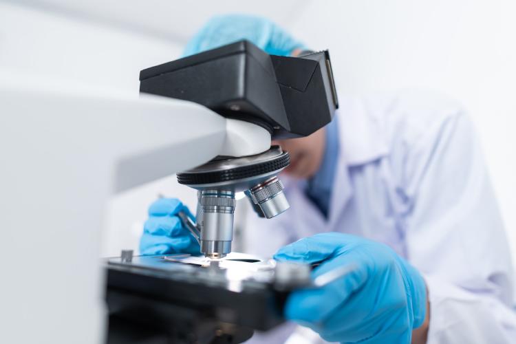 scientist using microscope 3938022 scientist using microscope 3938022