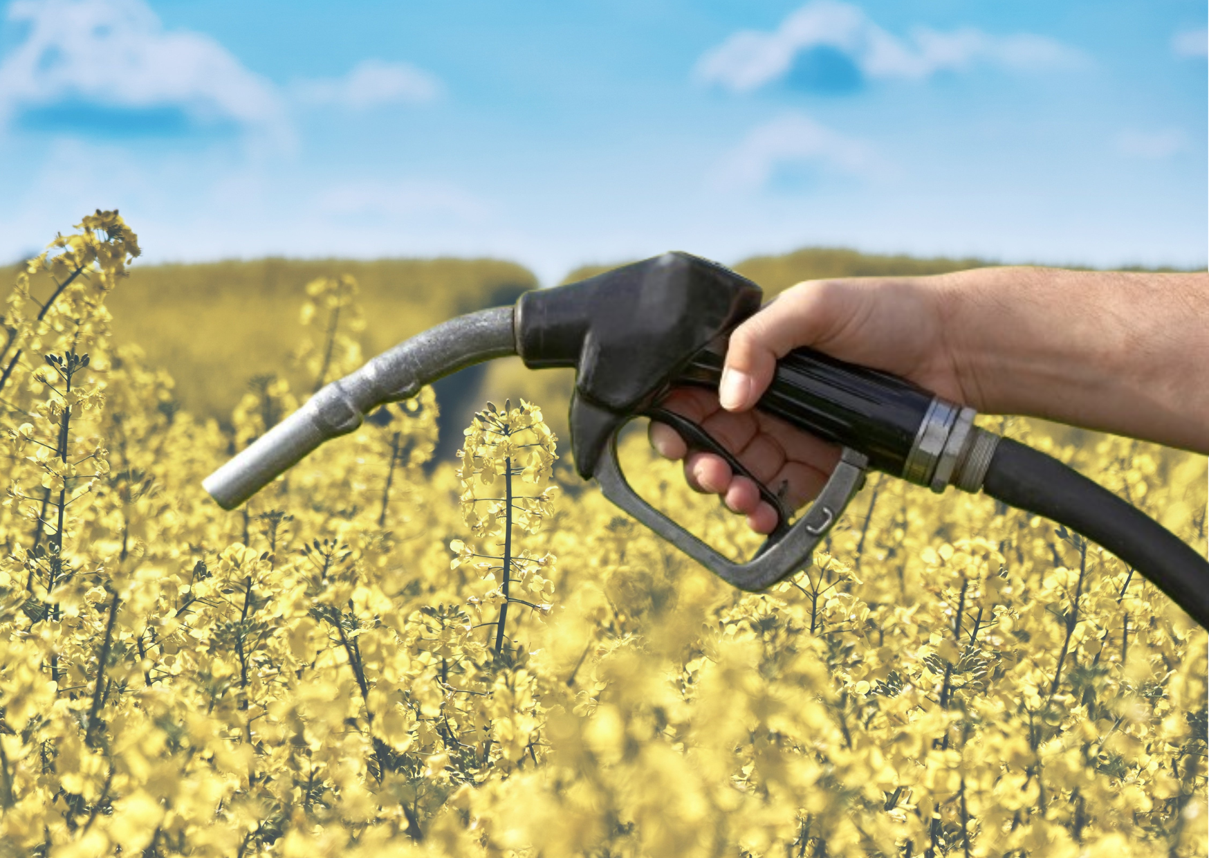 Tarjeta de San Valent&iacute;n Ilustrativo Rosado 