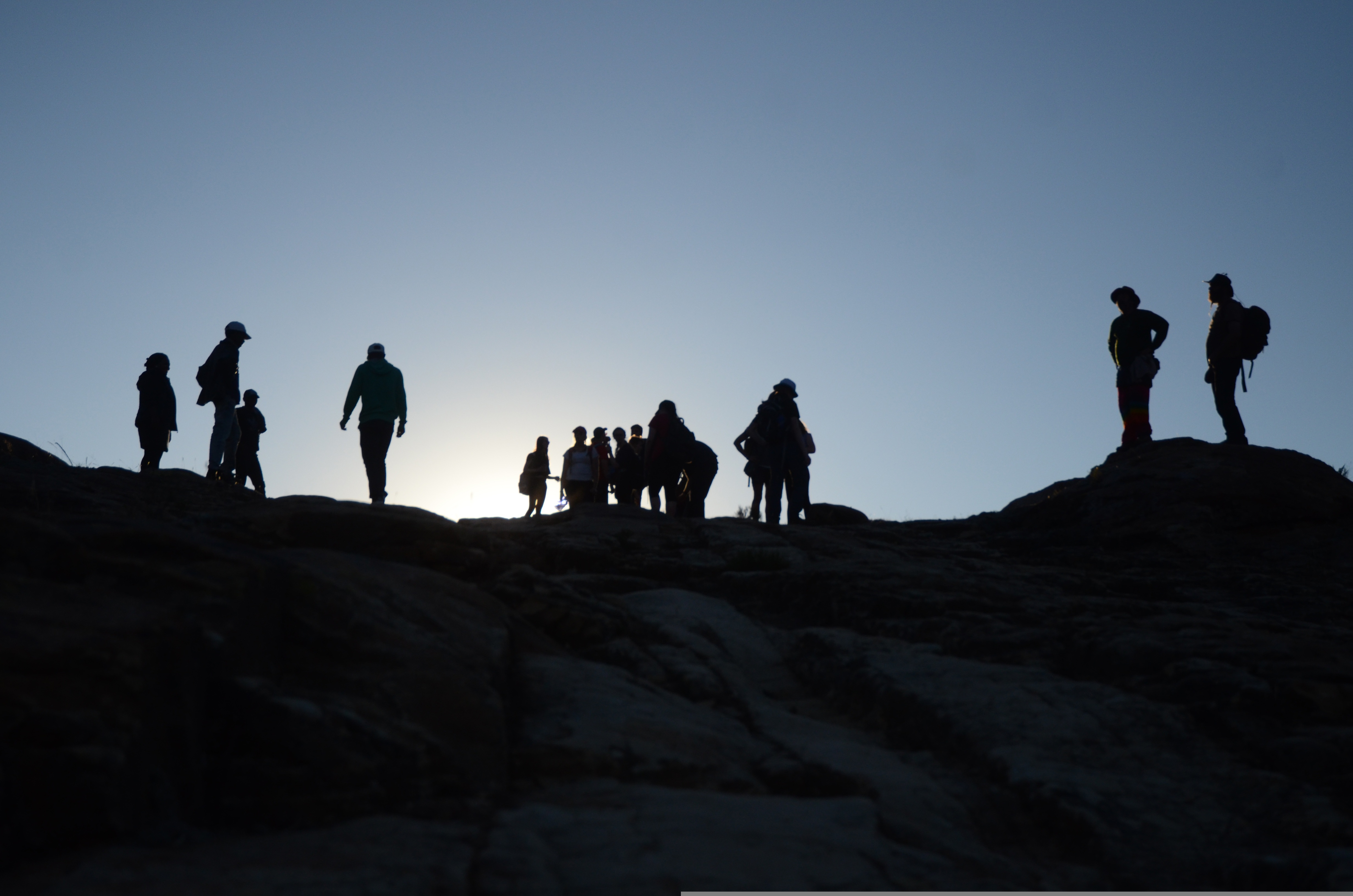 simondallen silhouette 3707037