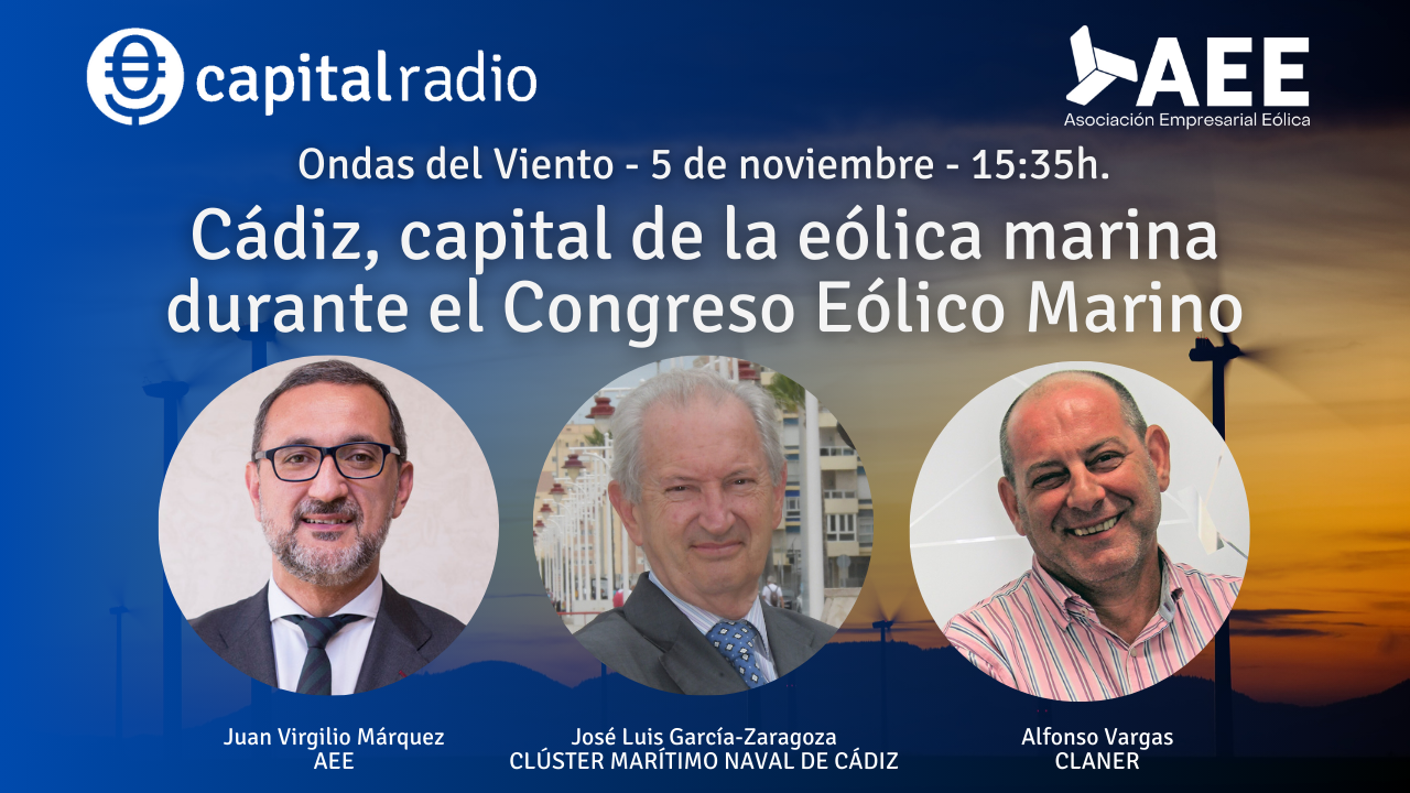 ondas del viento ondas del viento