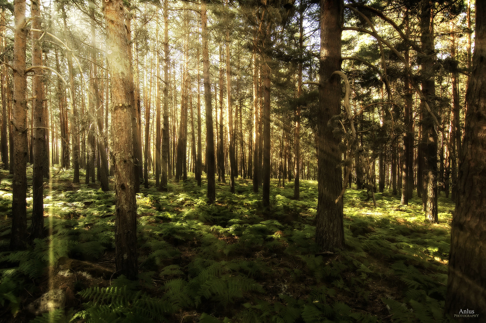 29644577141_a66da97e11_h 29644577141_a66da97e11_h