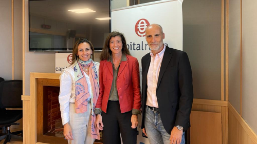 Neumáticos en verde Neumáticos en verde