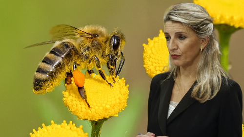 Tamaño foto web (52) Tamaño foto web (52)