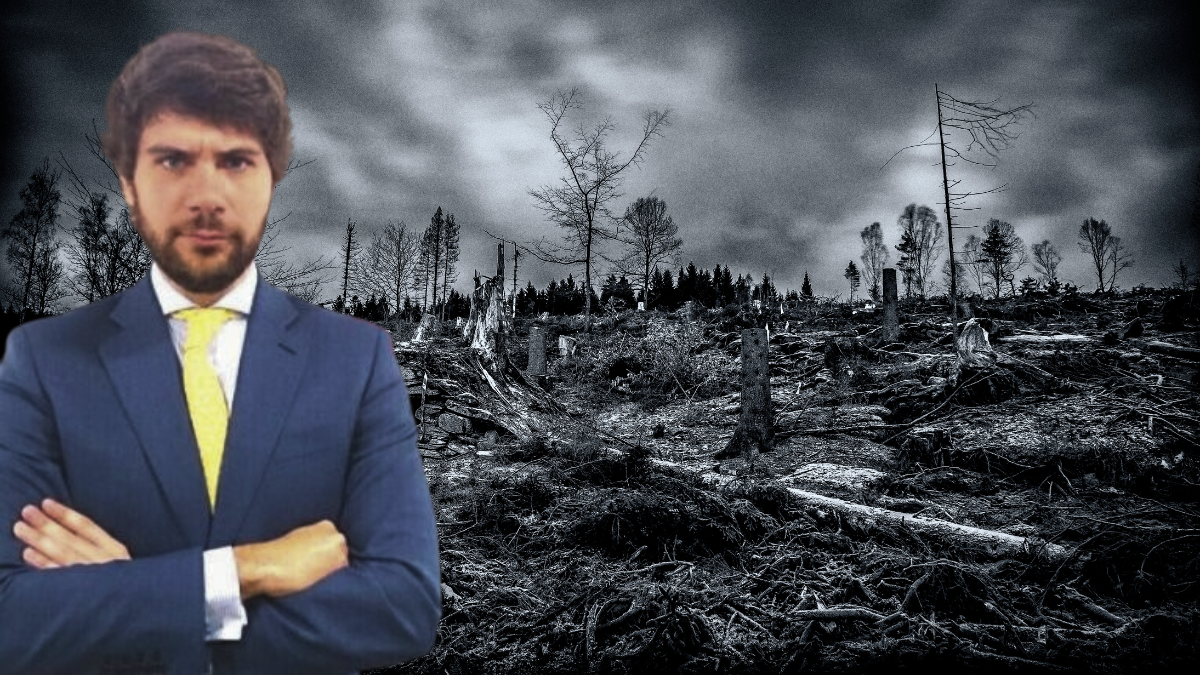 Pelayo Rosillo, director de Reaseguro de Aon España. Pelayo Rosillo, director de Reaseguro de Aon España.