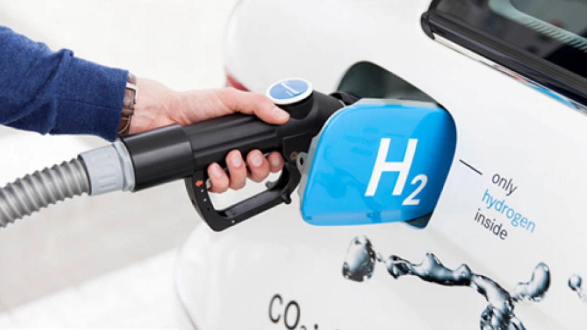 Tamaño foto web (99) Tamaño foto web (99)