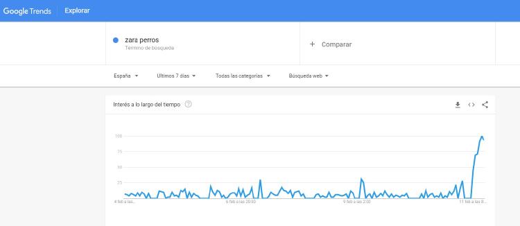 zara perros google trends