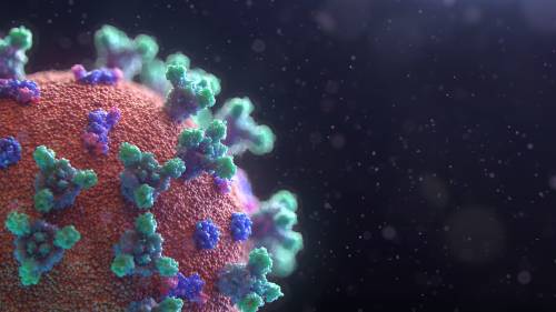 Coronavirus   Photo by Fusion Medical Animation on Unsplash