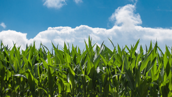 ATALAYAR (10) ATALAYAR (10)