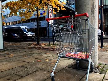 cesta de la compra vacia 