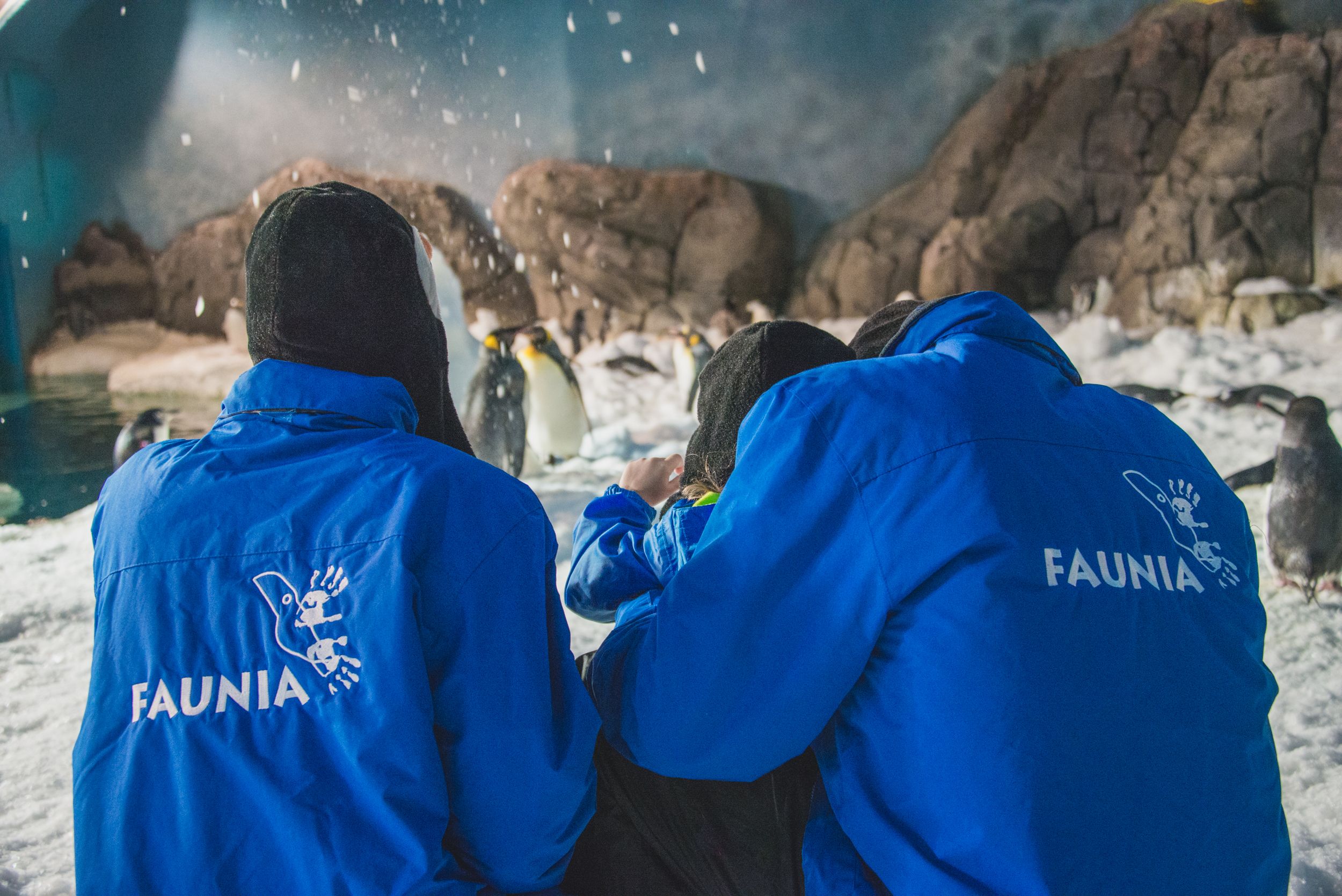 faunia nieve faunia nieve