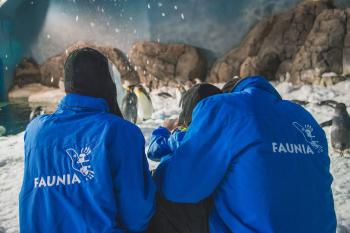 faunia nieve faunia nieve
