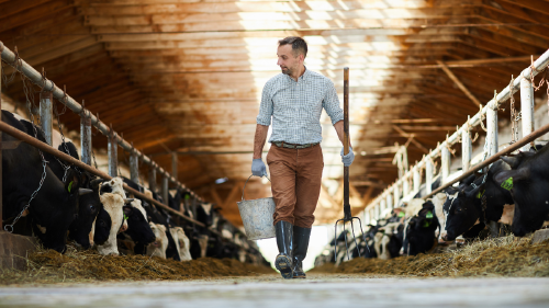 Sector primario Sector primario