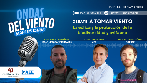 ONDAS DEL VIENTO ONDAS DEL VIENTO