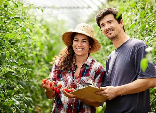 Unlocking the potential of SMBs in Climate Action Unlocking the potential of SMBs in Climate Action