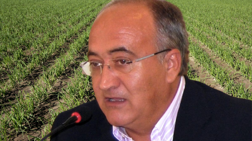 Tamaño foto web (66) Tamaño foto web (66)