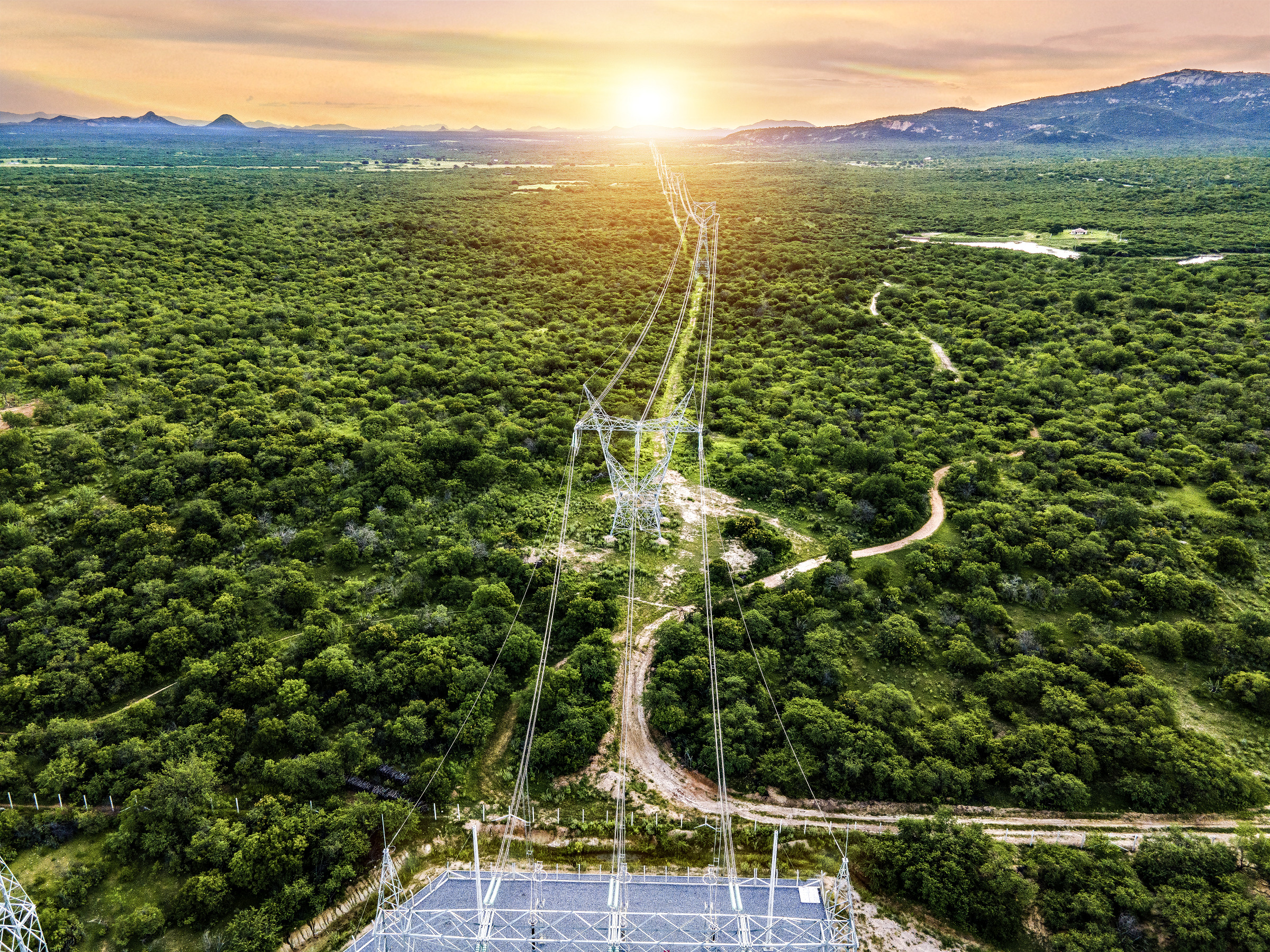 red electrica red electrica