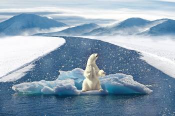 Cambio climático