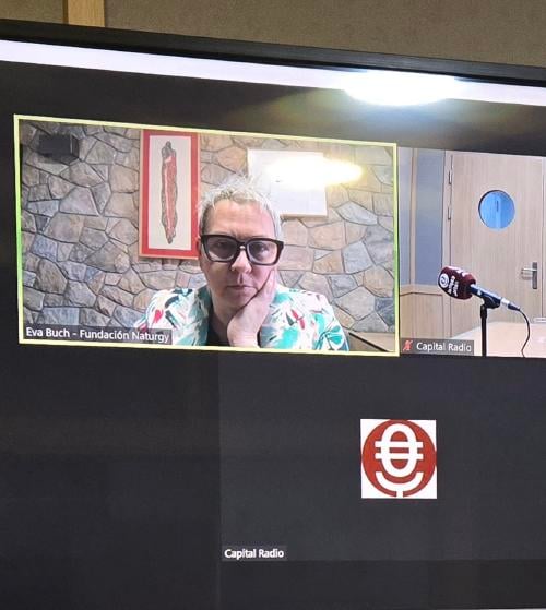 20250312_110500 20250312_110500