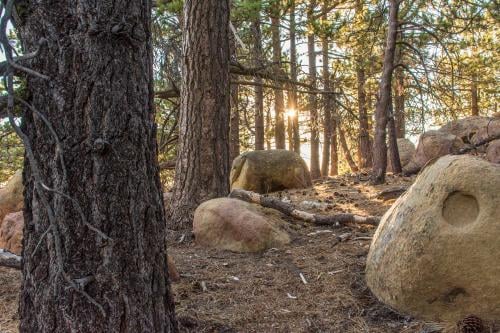 tierras raras tierras raras