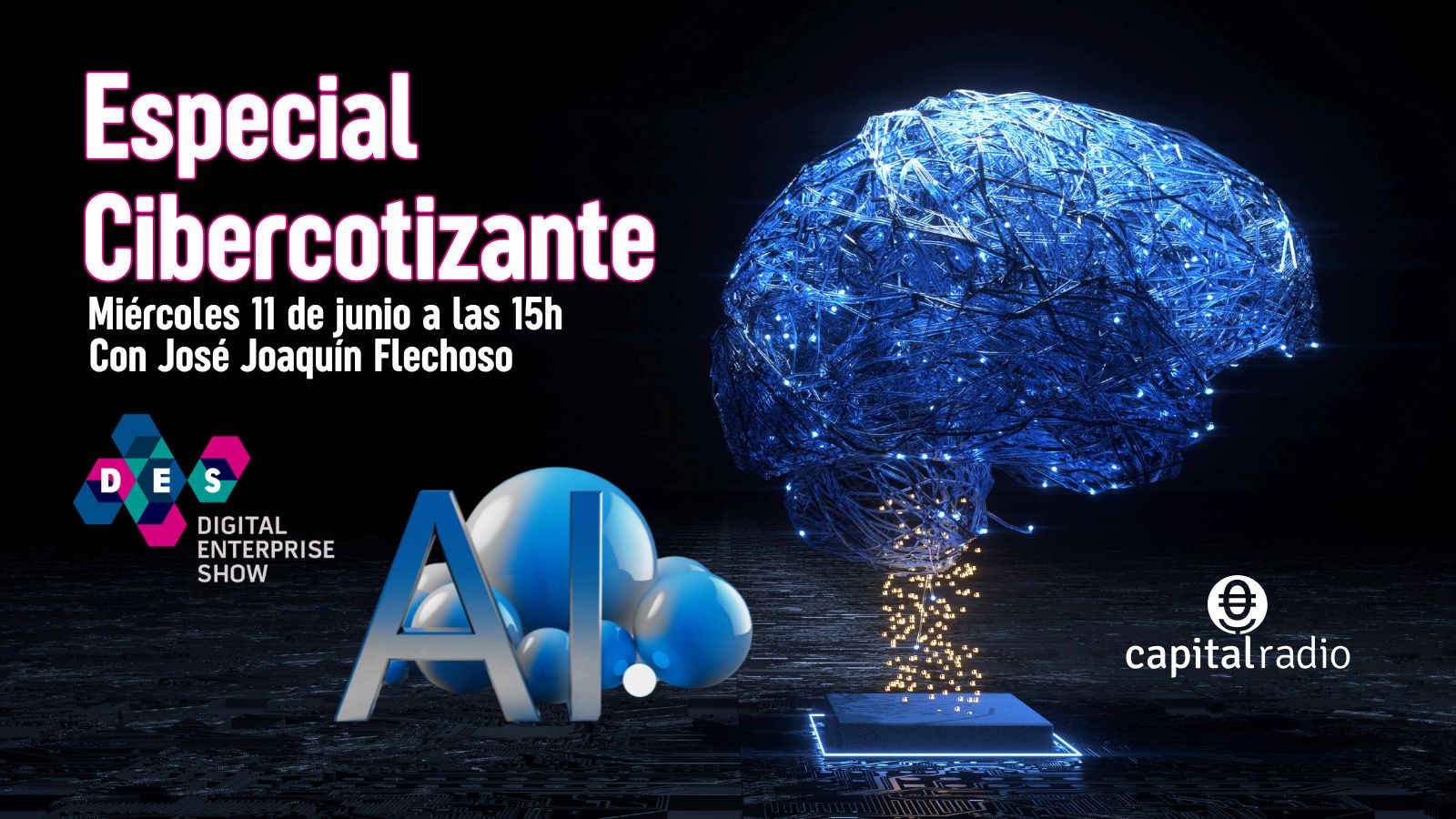 DES Cibercotizante