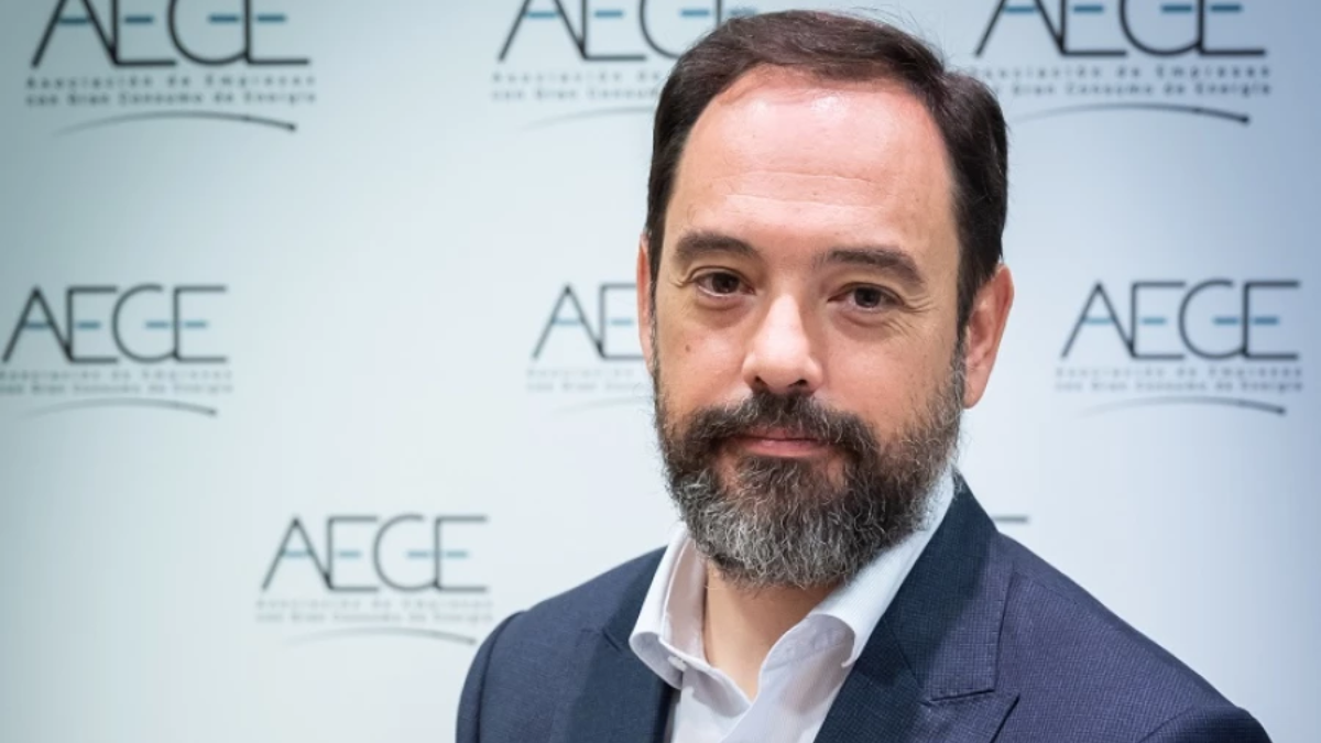 Pedro González, director general de AEGE, la Asociación de Empresas con Gran Consumo de Energía.