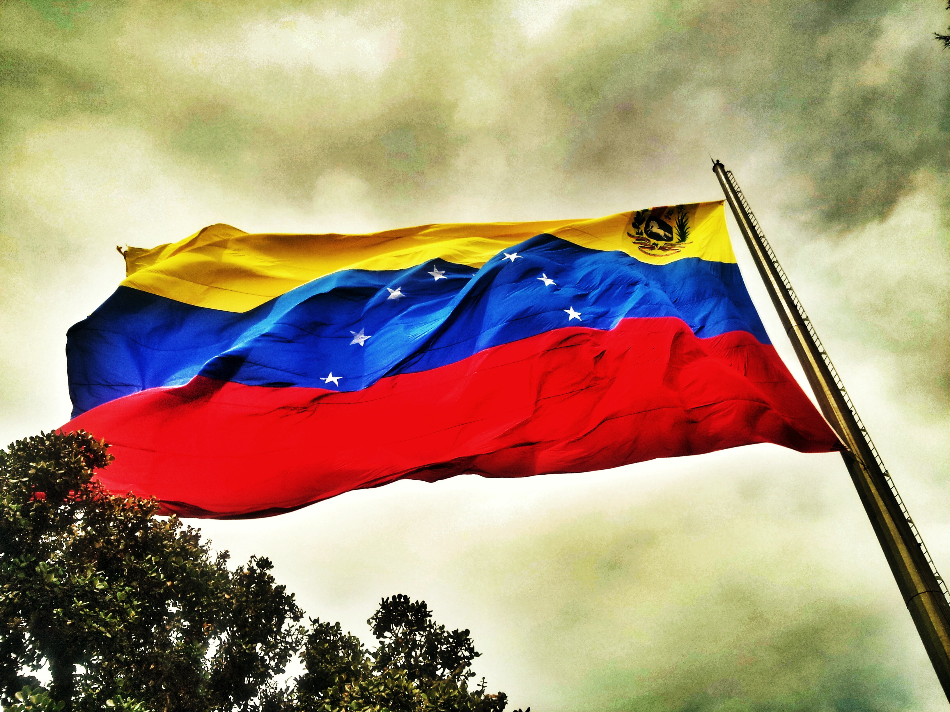 Bandera de Venezuela Bandera de Venezuela
