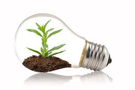 Especial Sostenibilidad medioambiental