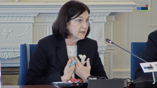 Cani Fernández, presidenta de la CNMC Cani Fernández, presidenta de la CNMC