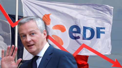 EDF Hunde en Bolsa (1) EDF Hunde en Bolsa (1)