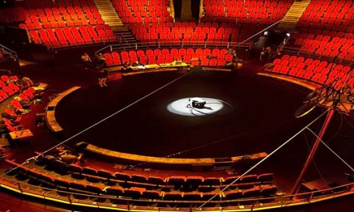 05_CircoPrice 500x300 05_CircoPrice 500x300