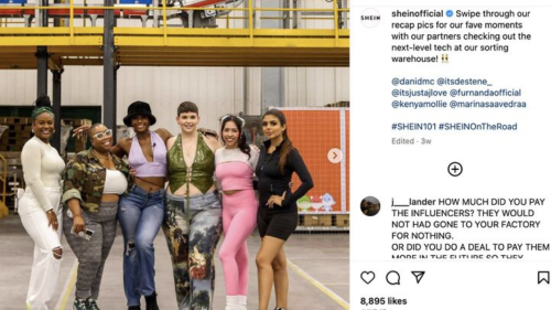 Influencers Shein Influencers Shein