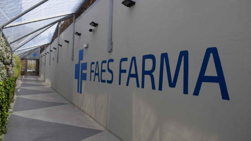 Faes Farma Faes Farma