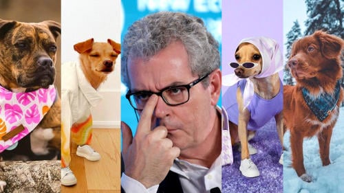 Pablo Isla con perros Pablo Isla con perros