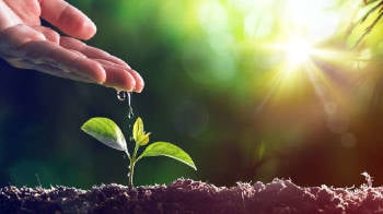 Día Mundial Medioambiente Día Mundial Medioambiente