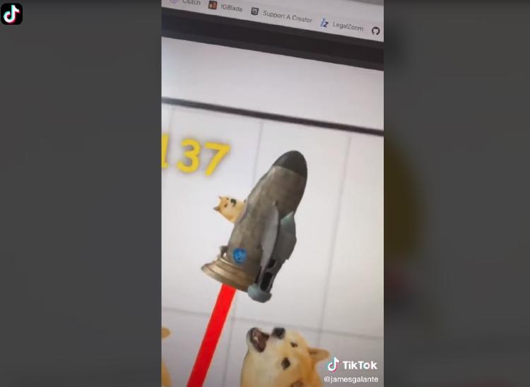 tiktok dogecoin