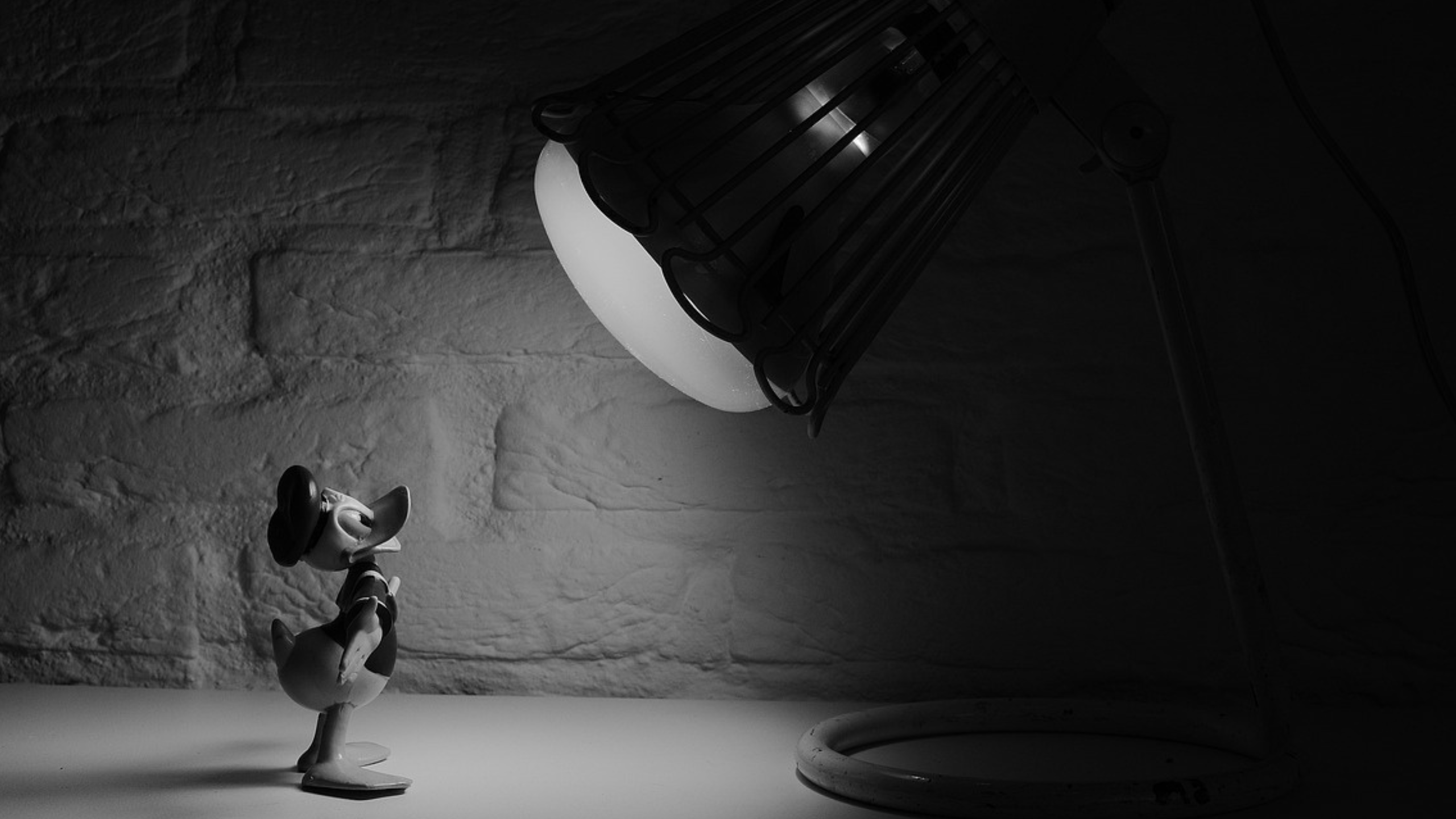 Diseño sin título (66) Diseño sin título (66)