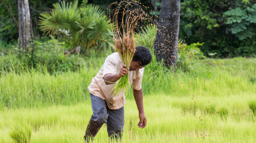 Diseño sin título Diseño sin título