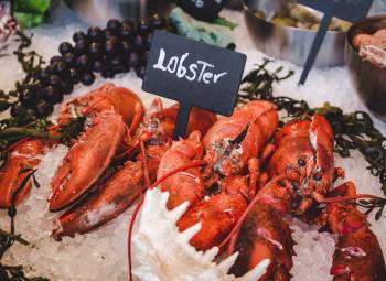 Langosta Photo by Louis Hansel @shotsoflouis on Unsplash Langosta Photo by Louis Hansel @shotsoflouis on Unsplash