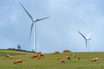 Guía de Ecoturismo Eólico Guía de Ecoturismo Eólico