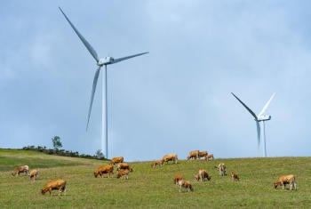 Guía de Ecoturismo Eólico