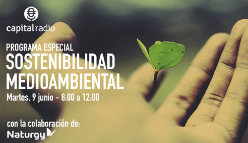 sostenibildiad ok sostenibildiad ok