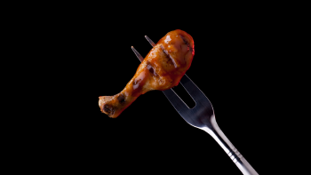 Pollo Pollo