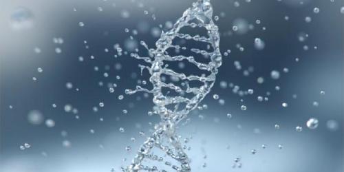 agua hidratados importancia agua hidratados importancia