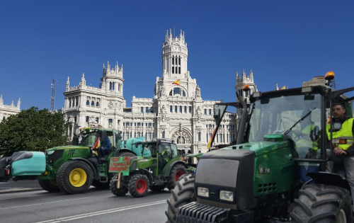 Diseño sin título (74) Diseño sin título (74)