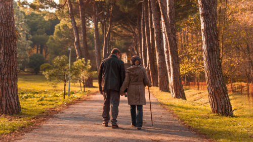 Tamaño Foto Web (4) Tamaño Foto Web (4)