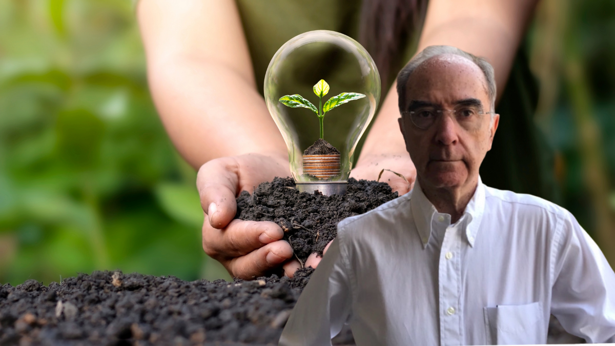 Tamaño foto web (91) Tamaño foto web (91)