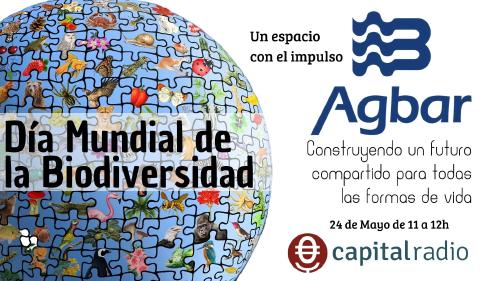 Especial Agbar (1) Especial Agbar (1)