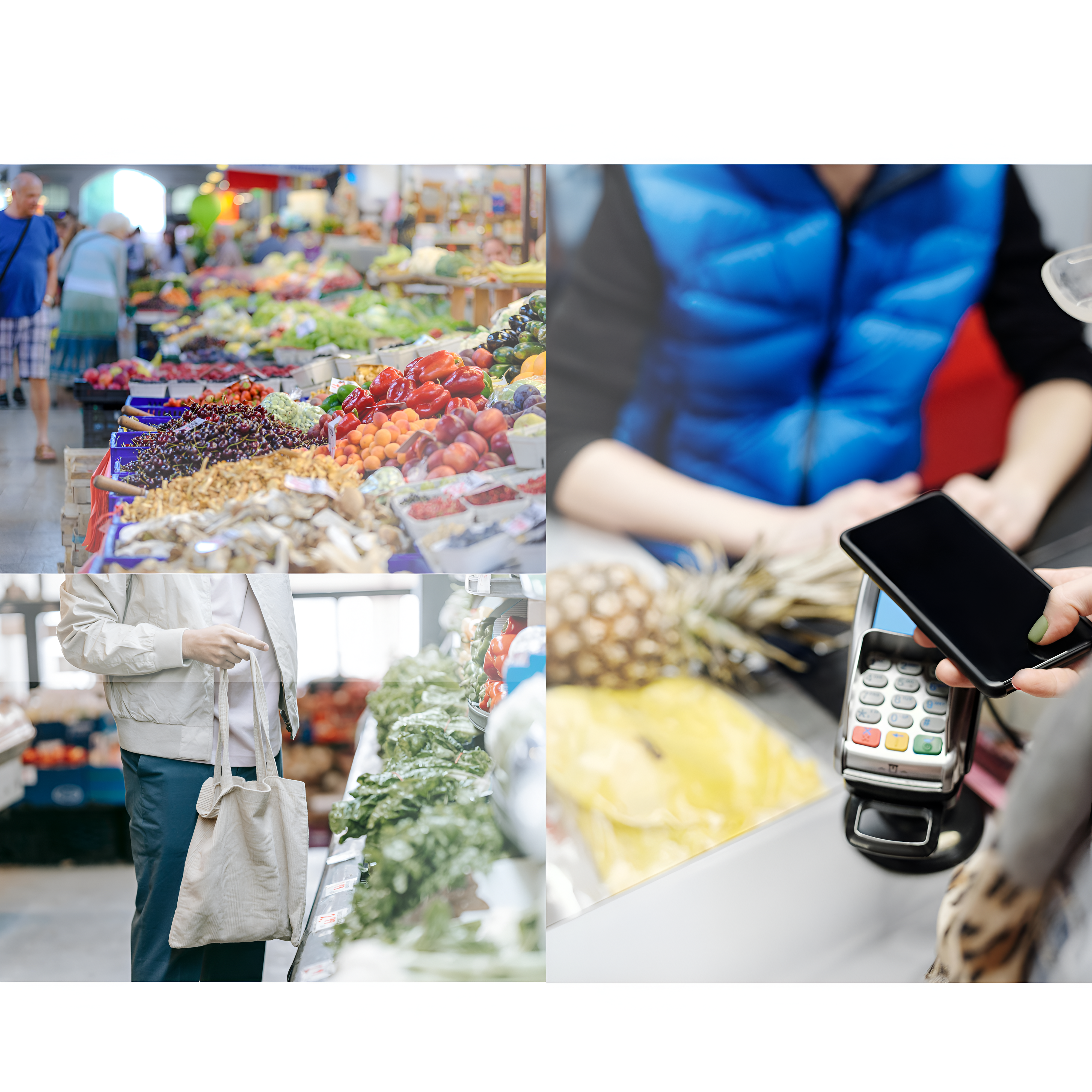 pixelcut export pixelcut export